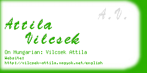 attila vilcsek business card